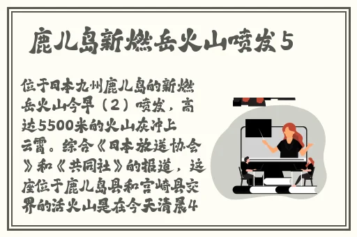 张婉莹暑假作业网站下载